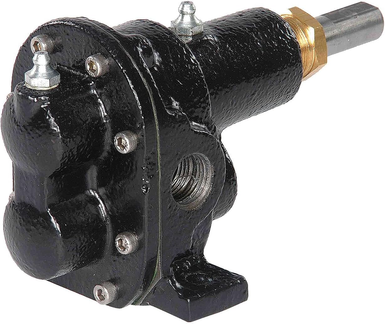 Dayton 4KHK1 Rotary Gear Pump Head, 1/4 In., 1/6 HP Amazon.ca
