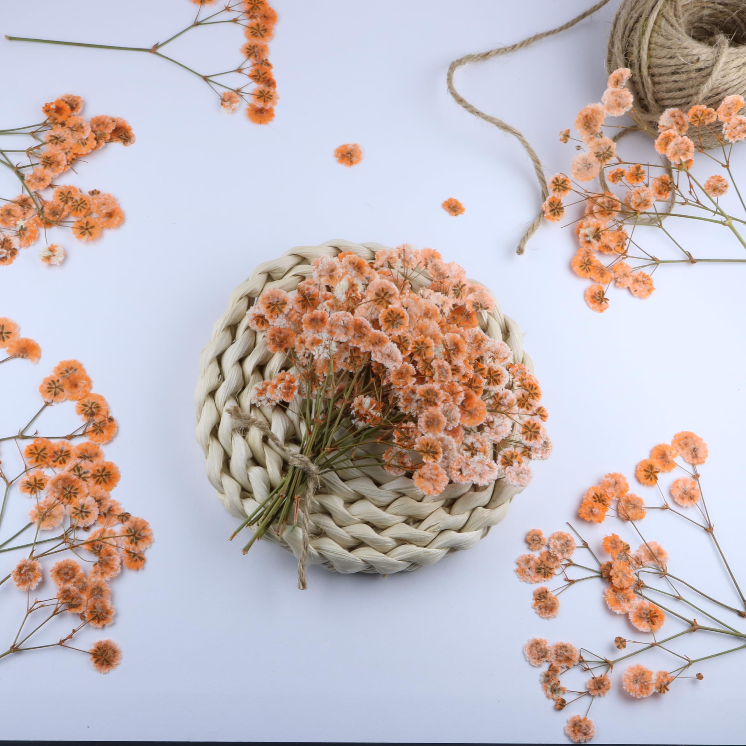 Gypsophila 100 szt. pomarańczowe suszone kwiaty do żywicy, tłoczony kwiat na zaproszenia ślubne pieczęcie woskowe