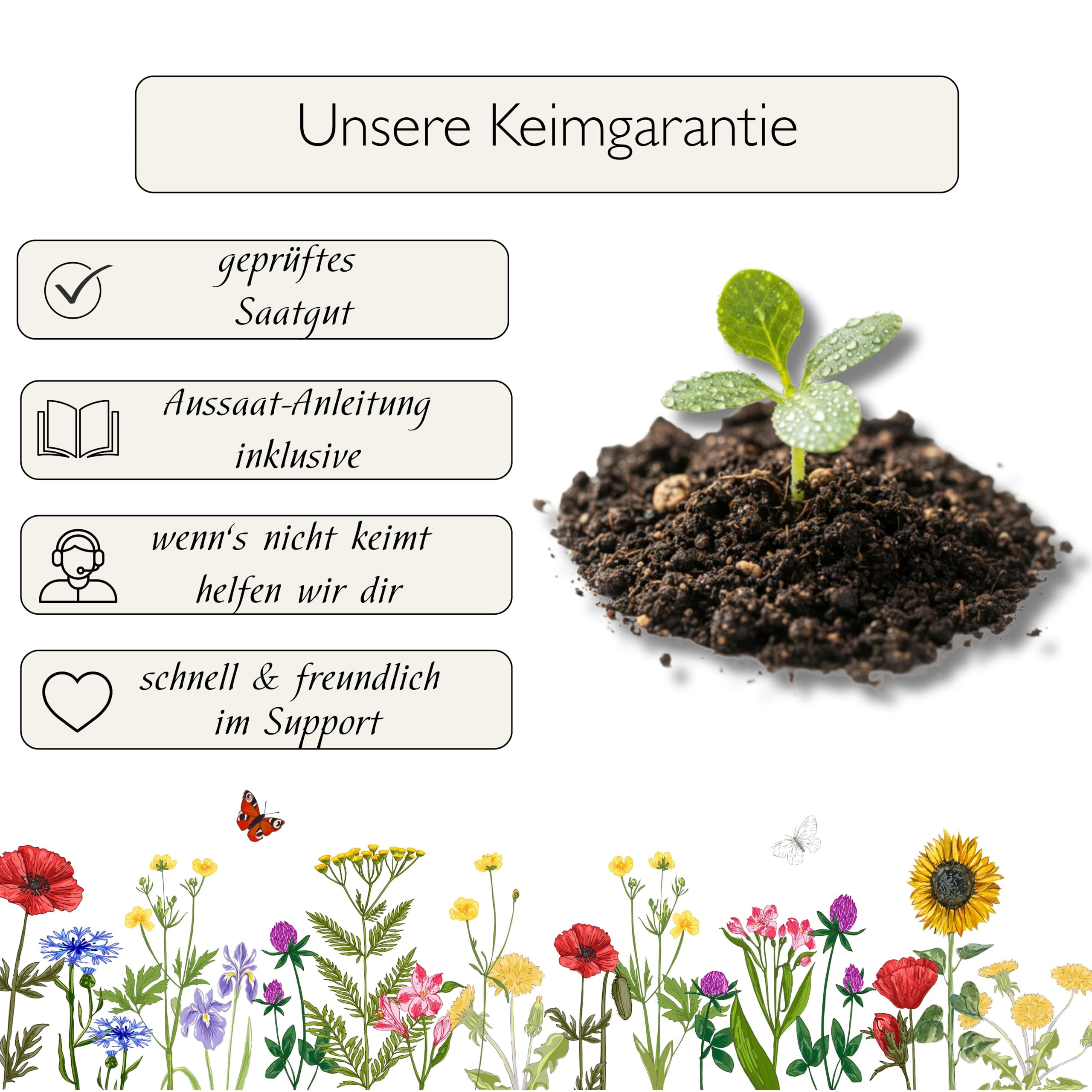 mehrjährige Bienenweide für heimische Insekten & Bienen, 5 jährige winterharte Mischung für den bienenfreundlichen Garten, Blumenwiese säen (80 m2)