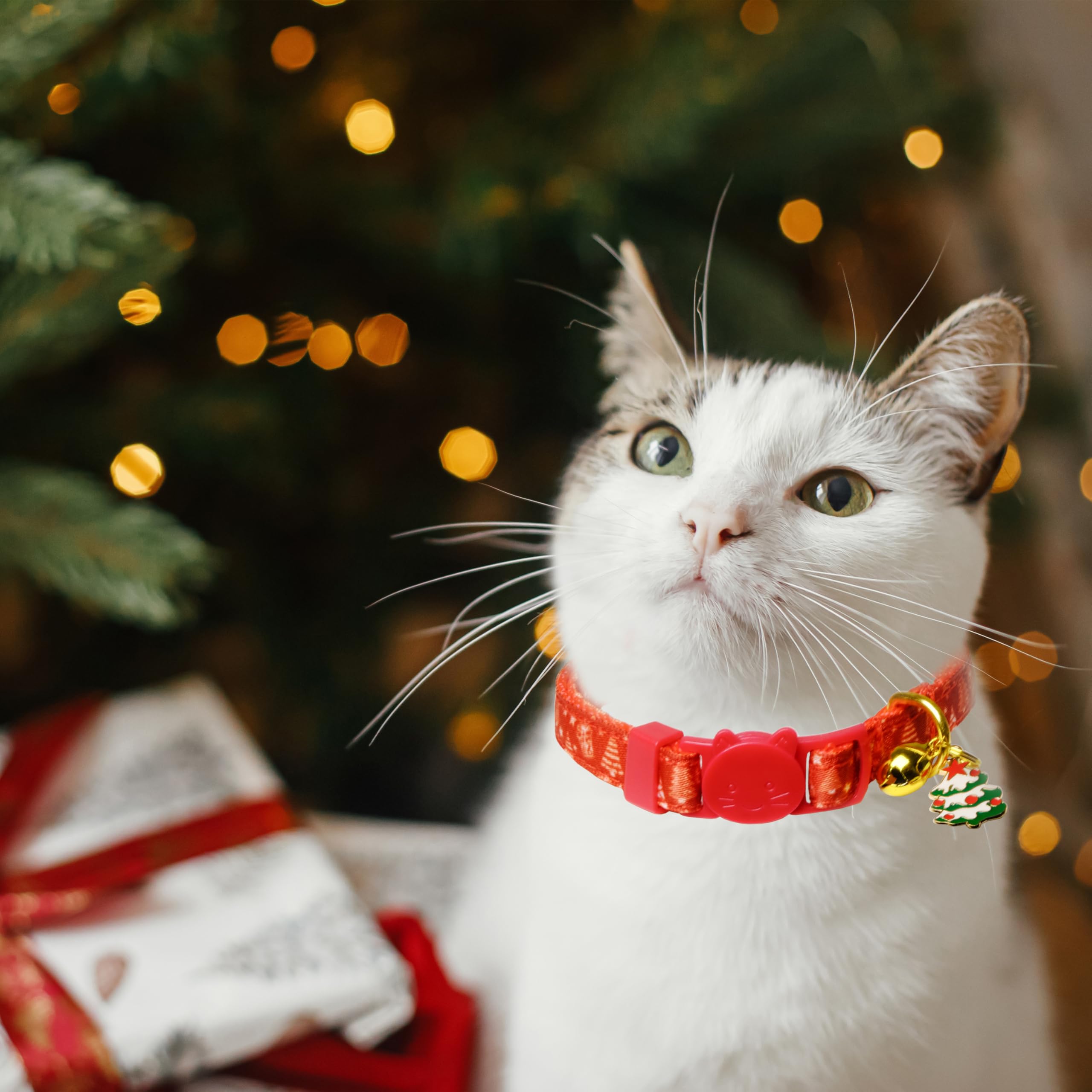 Christmas Cat Bow Tie Collar with Bell, 2 Pack Holiday Kitty Kitten Santa and Snowman Collar for Male Female Girls Boys