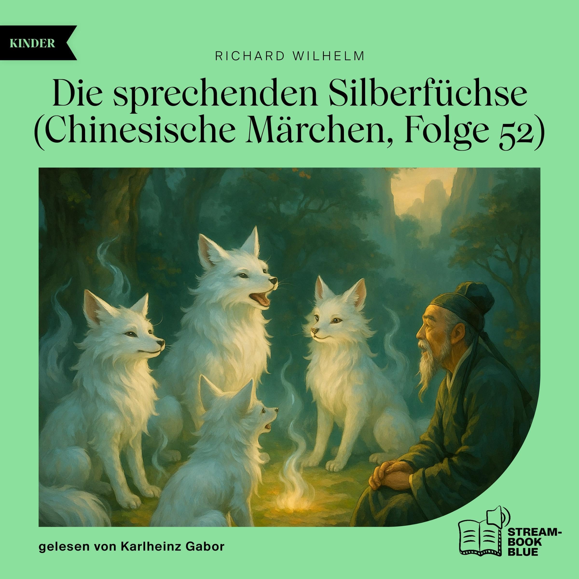 Cover art for Die sprechenden Silberfüchse