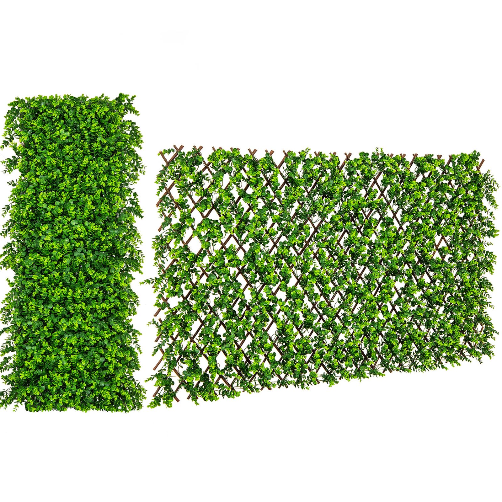 Giantex Eucalyptus Privacy Screen