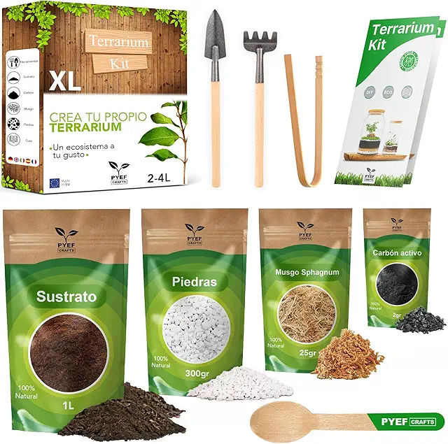 Kit Terrario Plantas DIY - Set Ecosistema Cerrado Plantas para Jardin en Botella (2-4) - Terrarium para Bosque Eterno de Interior - Sin Planta (Set sin Frasco, XL)