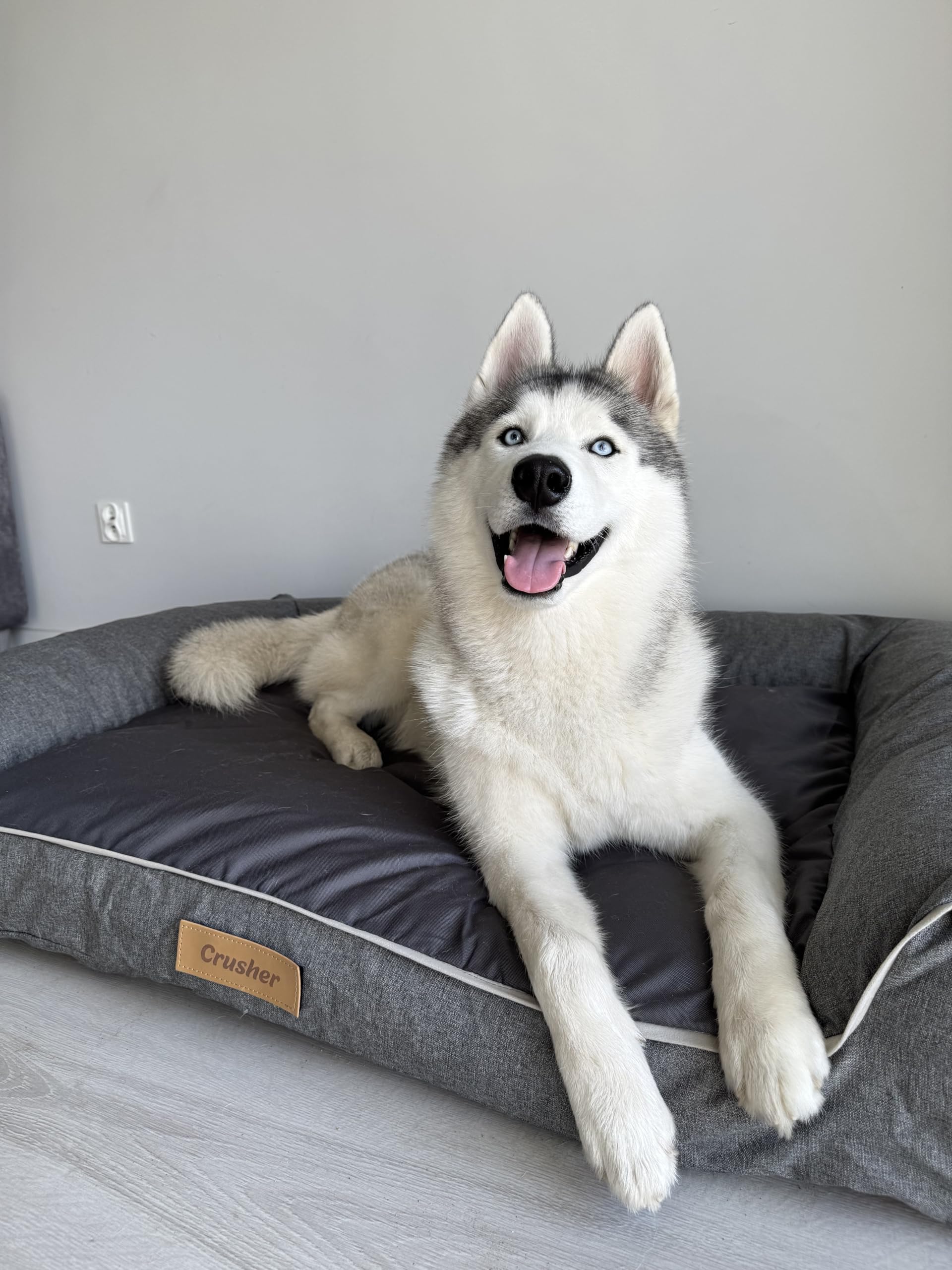 Hundebett für Große Hunde Waschbar, Hundekissen Grau Groß, Hundematte Grosse Hunde, 118 x 78 cm, mit Gravieren Namen, Hundesofa XXL Abnehmbarem Bezug