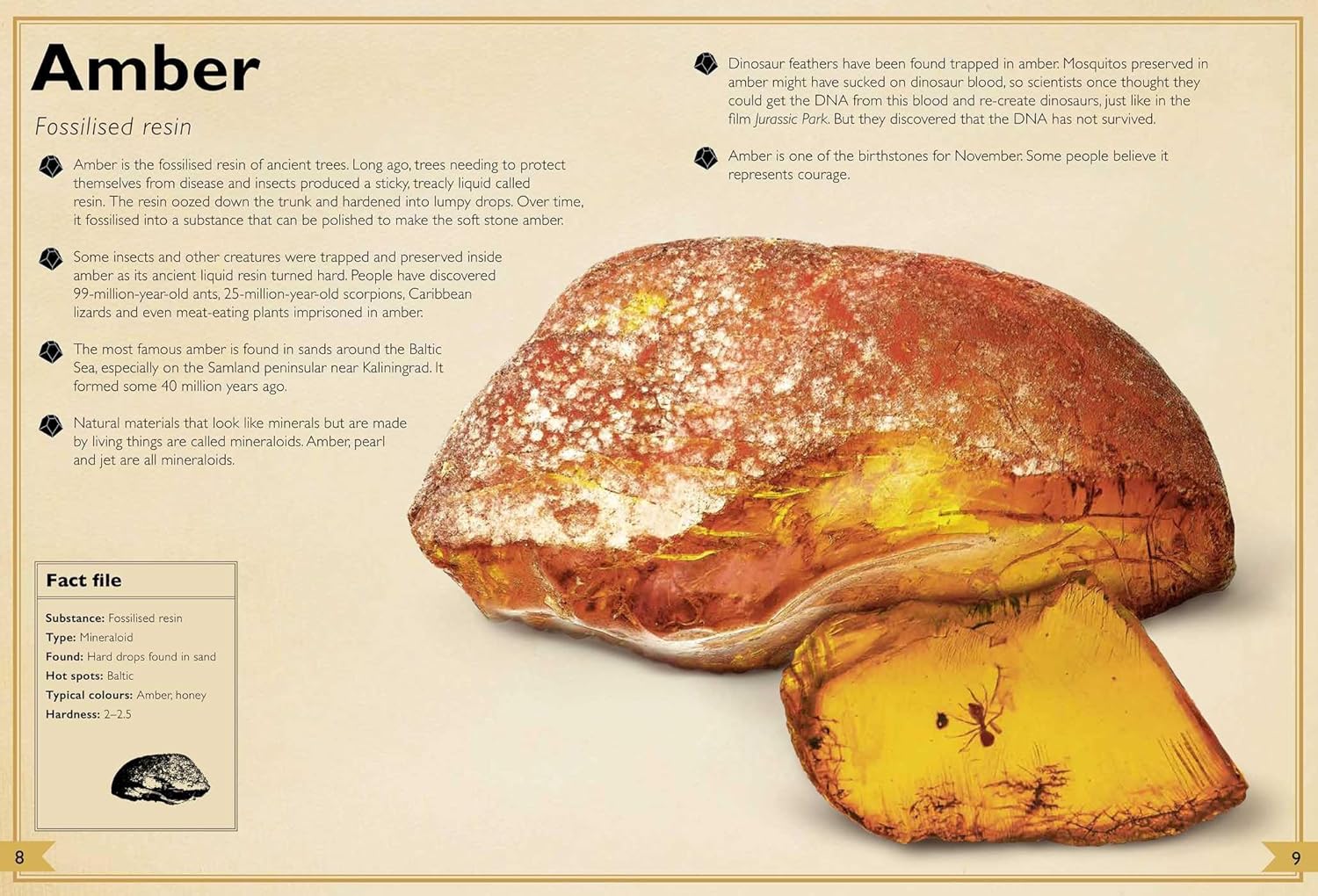 The Magnificent Book of Rocks and Minerals - Image 5