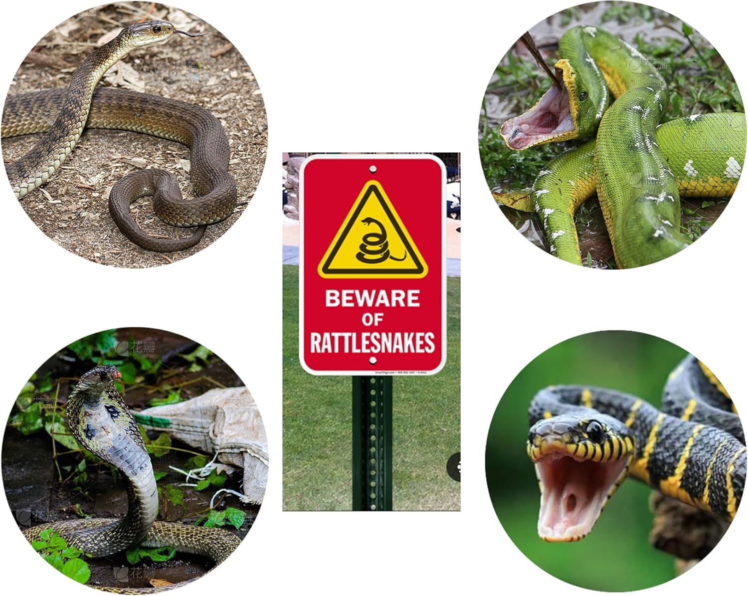 Snake Capture Net with Telescopic Handle, Tools for Handling Snakes and Reptiles Removing and Catching Place Snakes Into The Net Bag (29.5"-Snake Tong and Snake Net（Both）)