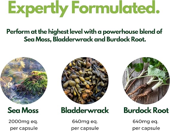 Nutripact Sea Moss Capsules, Bladderwrack and Burdock Root - 3280mg per Serving - One a Day High Strength - Easy to Swallow - Natural Source of Iodine - Chondrus Crispus - 60 Vegan Capsules