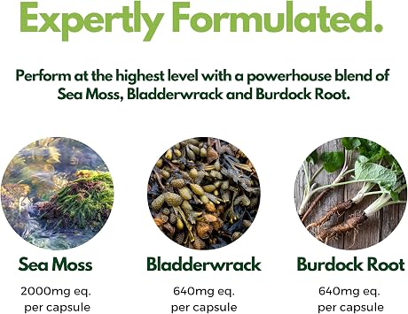 Nutripact Sea Moss Capsules, Bladderwrack and Burdock Root - 3280mg per Serving - One a Day High Strength - Easy to Swallow - Natural Source of Iodine - Chondrus Crispus - 60 Vegan Capsules