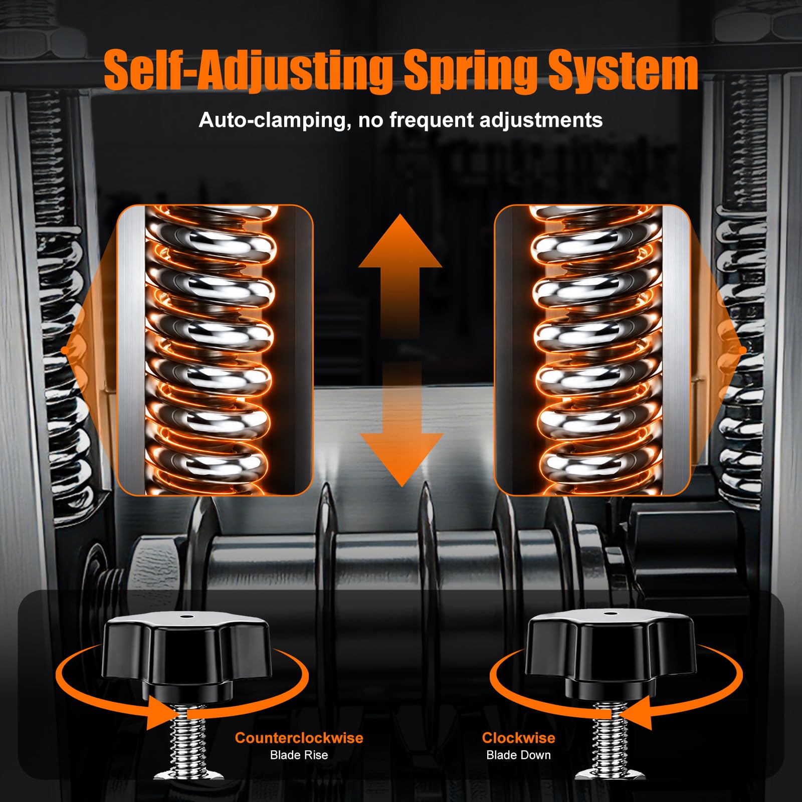 View 5