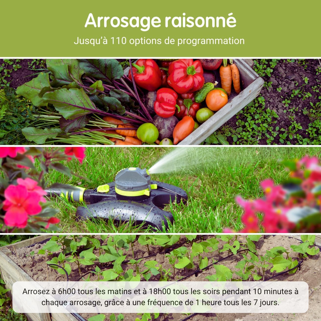 Various garden scenes demonstrating efficient watering: a crate of fresh vegetables, a sprinkler watering grass, and drip irrigation in a raised garden bed.