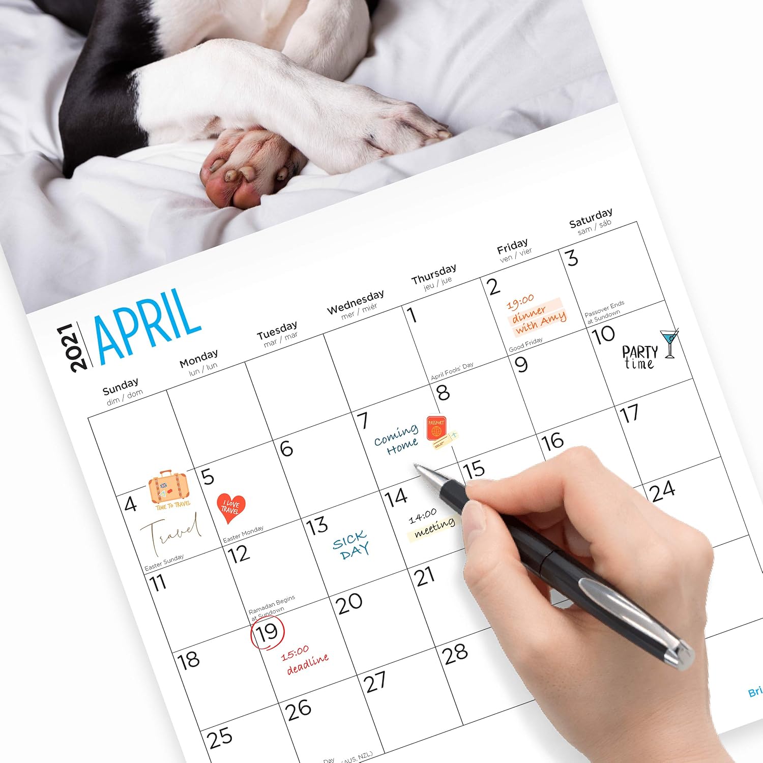 Fruzelg 2021 Great Danes Wall Calendar by Bright Day, 12 x 12 Inch, Cute Dog Puppy…