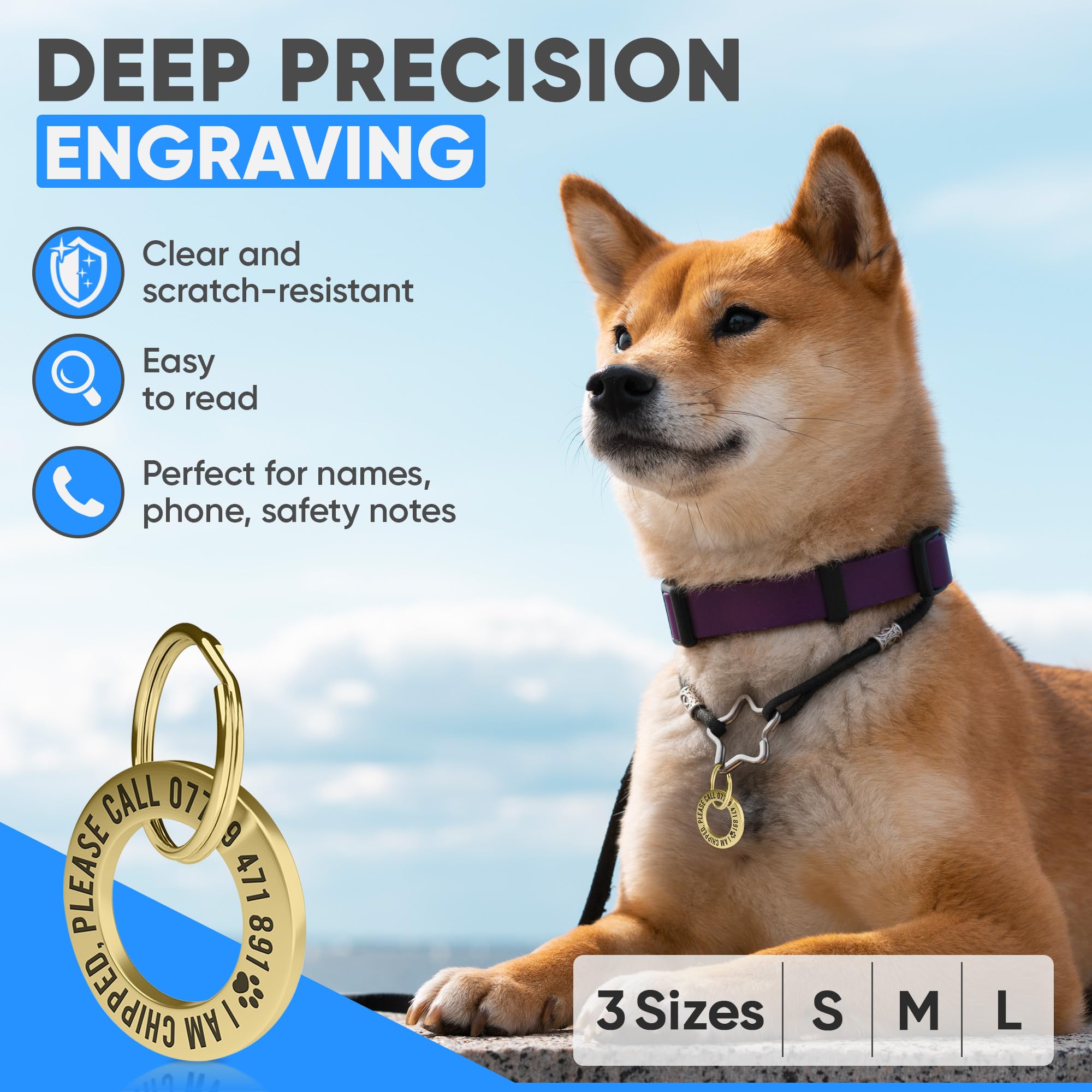 Médaille personnalisée pour animaux de compagnie – Bague d'identification gravée profonde en laiton massif (28 mm, taille XS) – Médaille nom durable pour collier de chien ou chat – Fabriqué