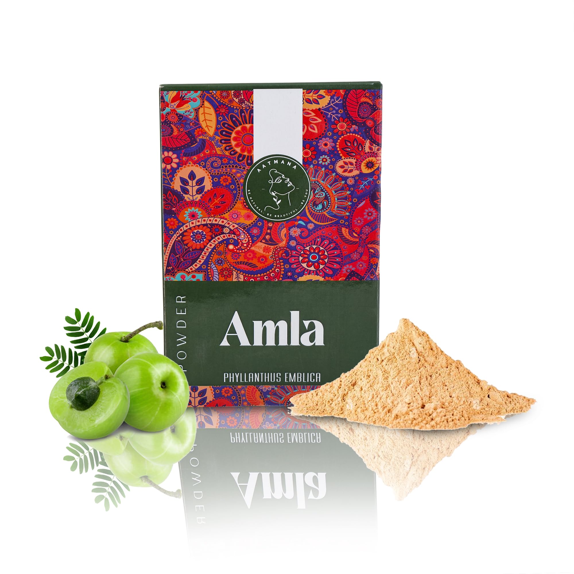Silky & Natural Soft Hair | Promote Hair Growth | Increases Hair Thickness | Ayurvedic Hair Products - 100g (Amla)