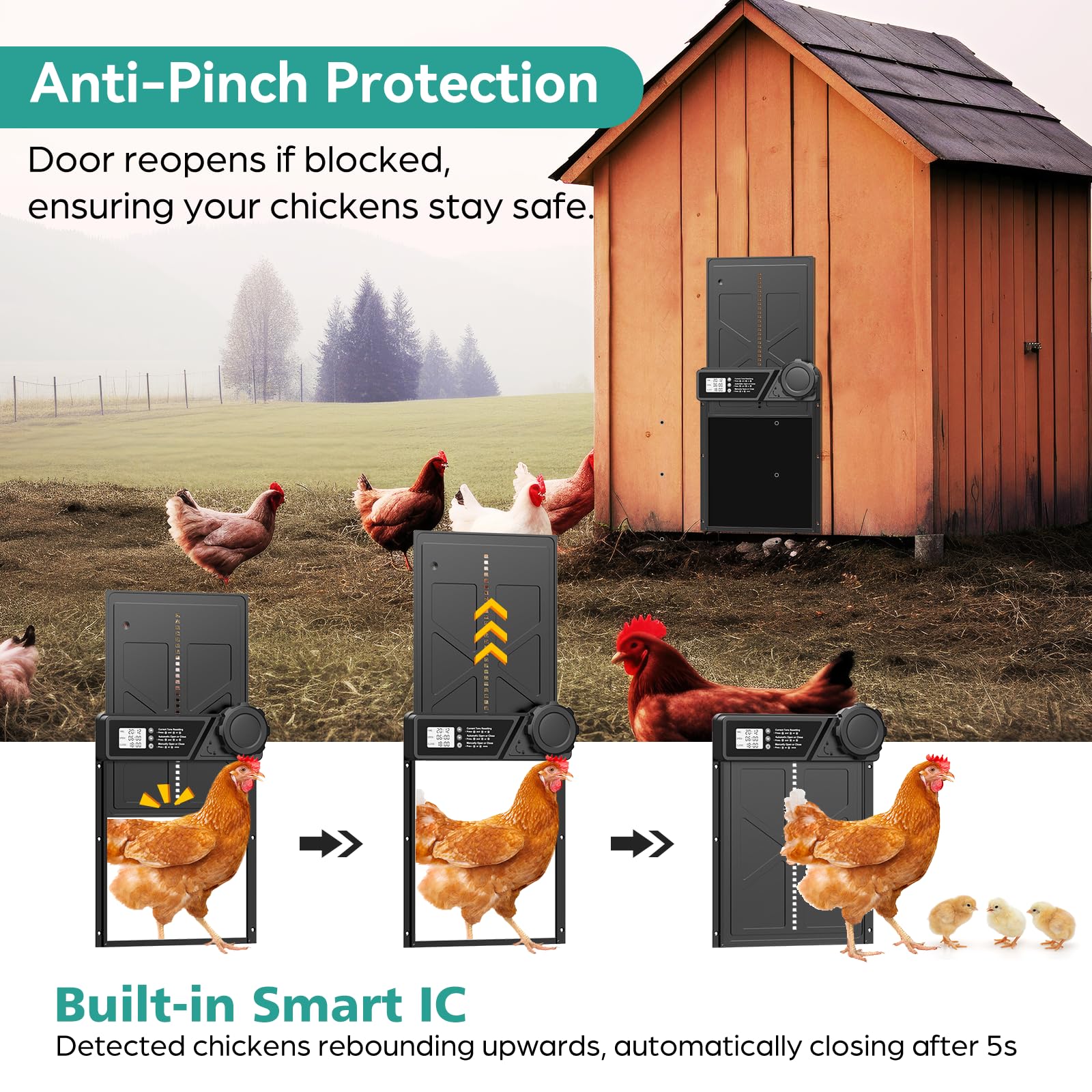 Grande porta automatica per pollaio a batteria, porta automatica pollaio in alluminio con timer, funzione anti-pizzico, schermo LCD impermeabile, per galline, anatre e oche
