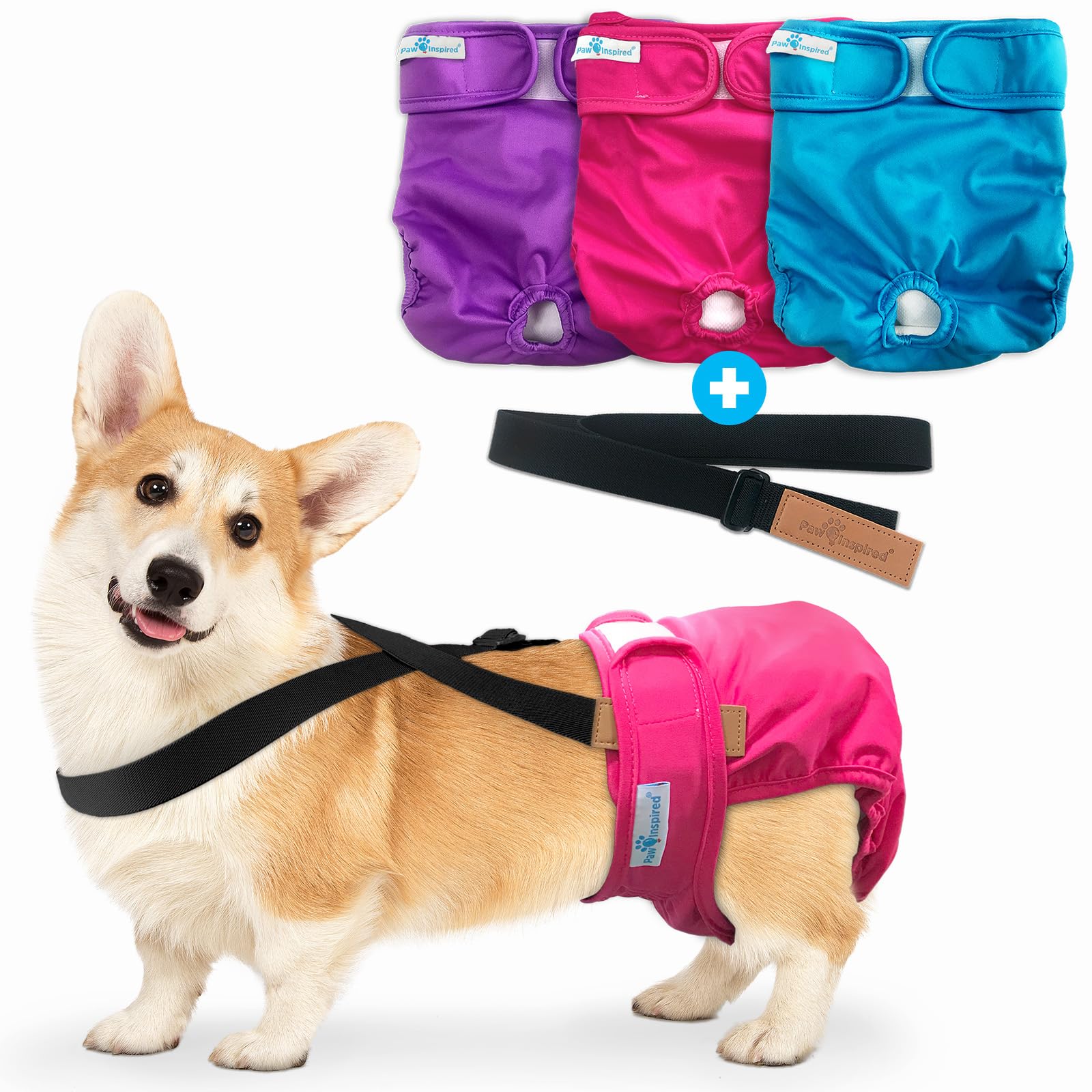 Paw Inspired Reusable Washable Dog Diapers (Pack of 3) in Assorted Colors with White Lining and Dog Diaper Suspenders in Black Combo Pack (Medium)