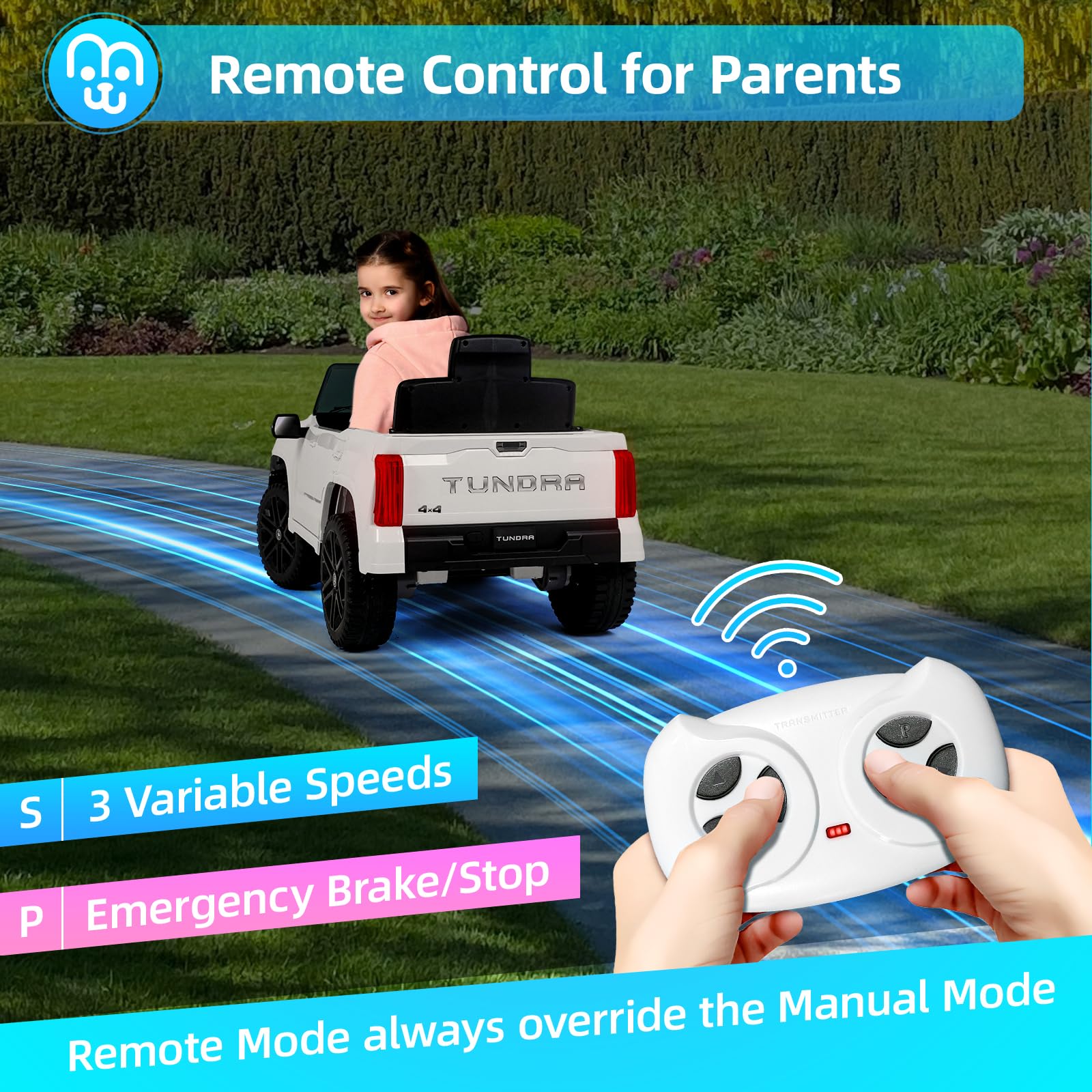 https://m.media-amazon.com/images/I/81hg+M01chL.jpg
