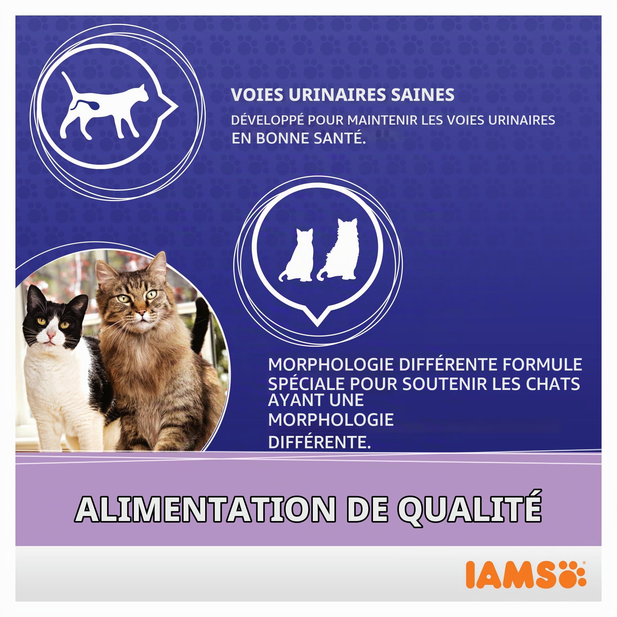 IAMS Multicat Croquettes Poulet et Saumon 15 kg