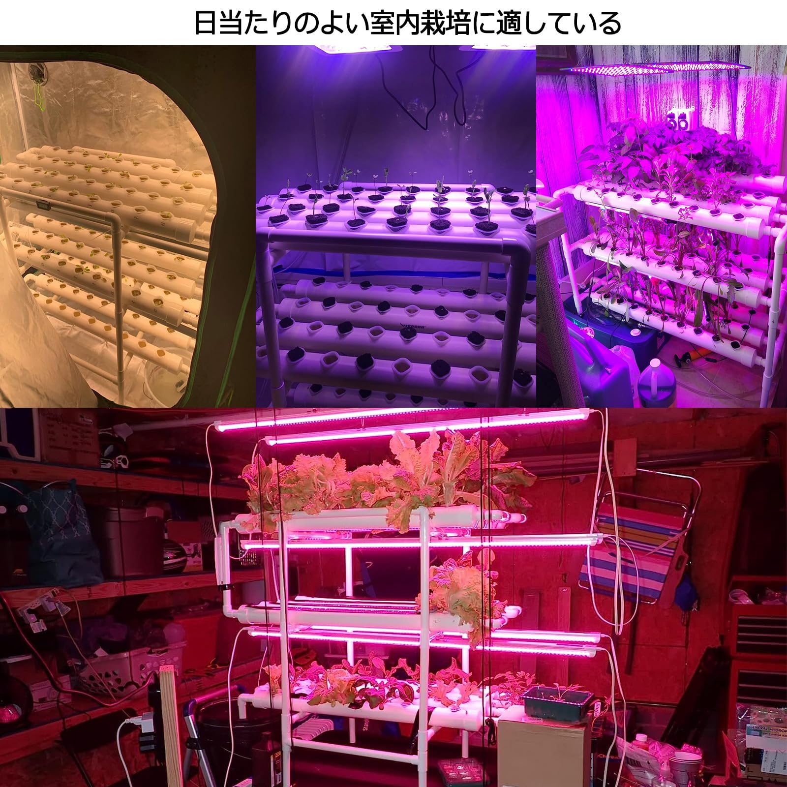 Amazon.co.jp: LAPOND 水耕栽培キット 室内水耕栽培 中型水耕栽