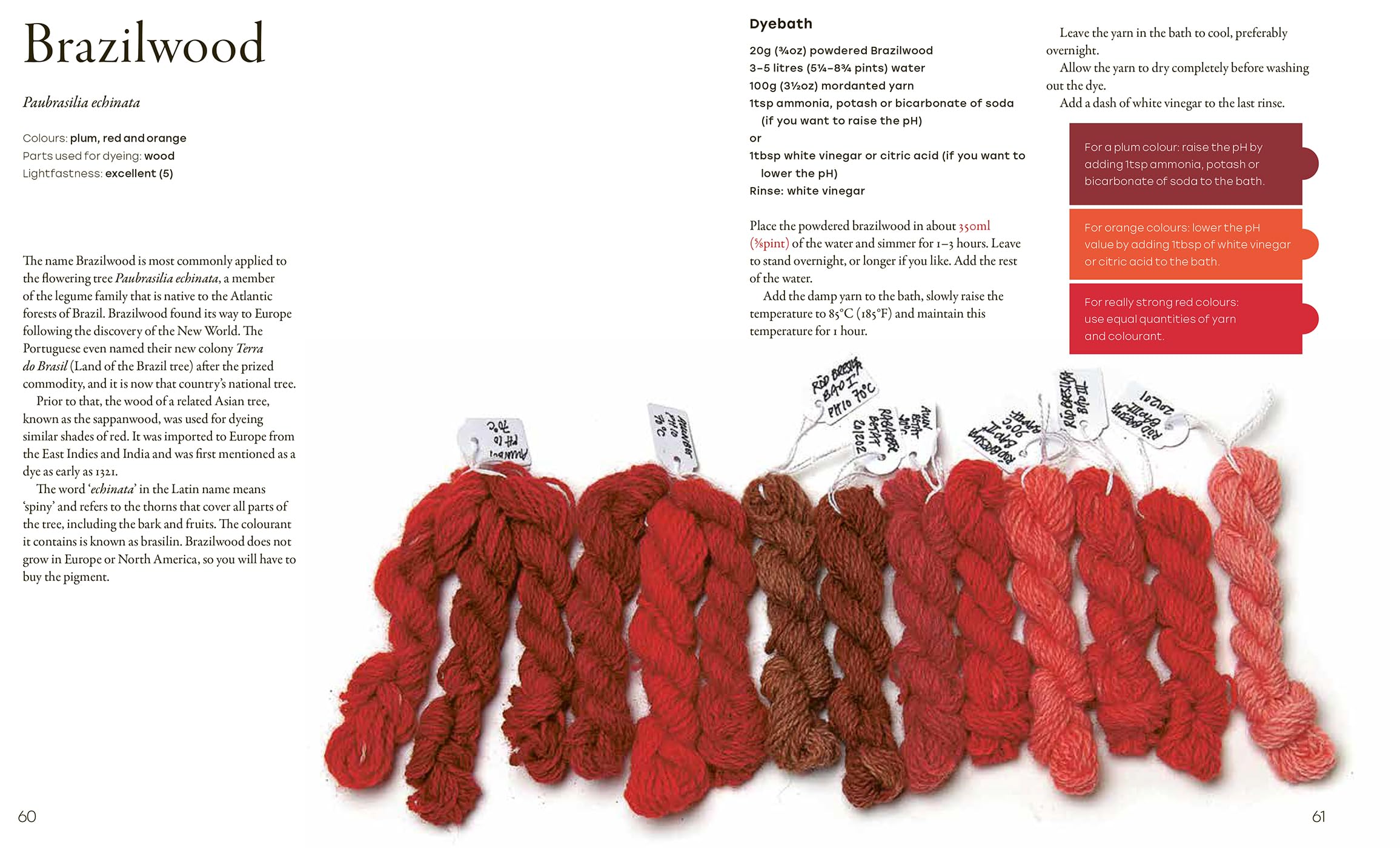 Natural Yarn Dyes: 25 Vibrant & Sustainable Recipes