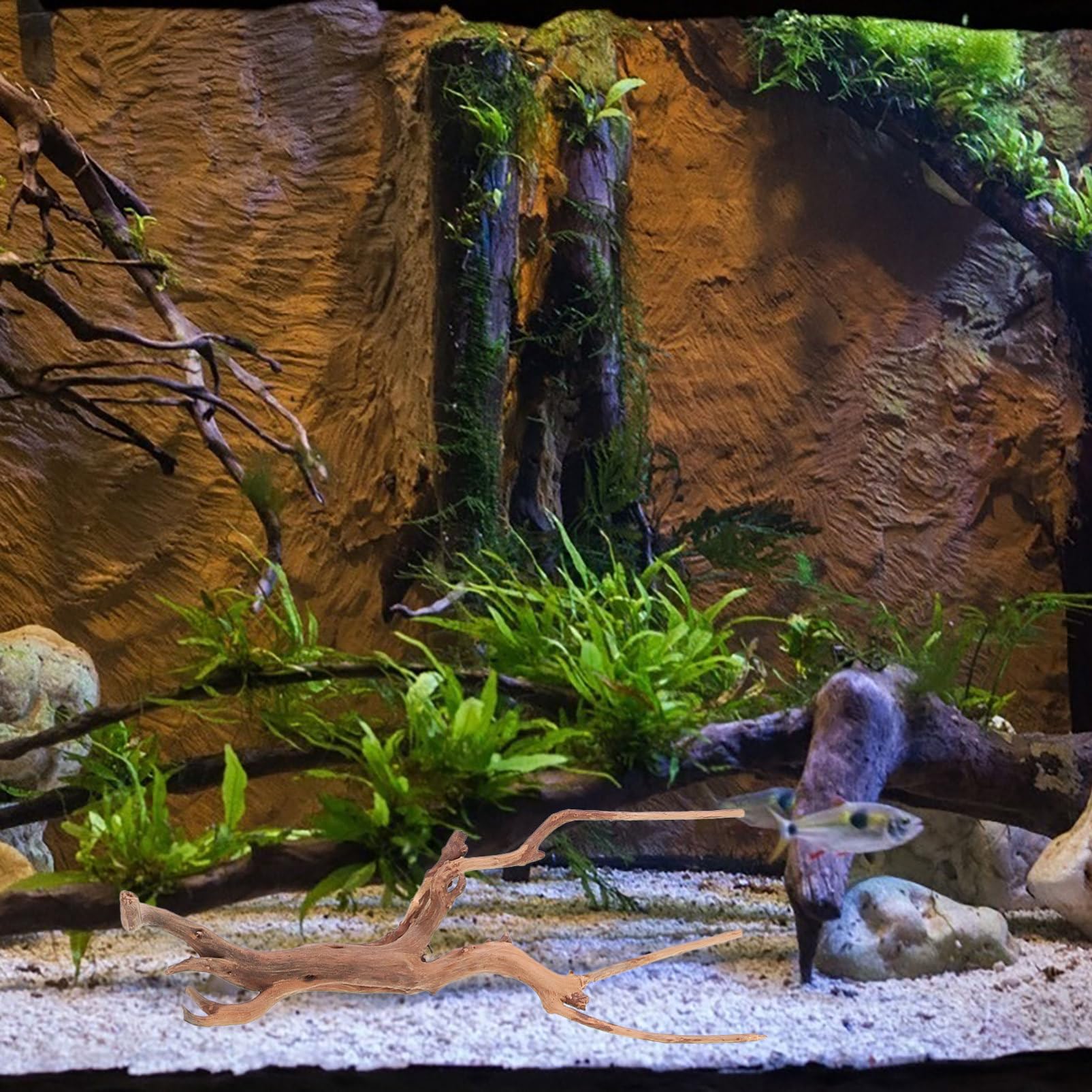 Happyyami 3piezas Decoración Natural De Flotante para y Terrarios Driftwood para Peceras y Paisajismo Acuático Diseño y Seguro para y Reptiles