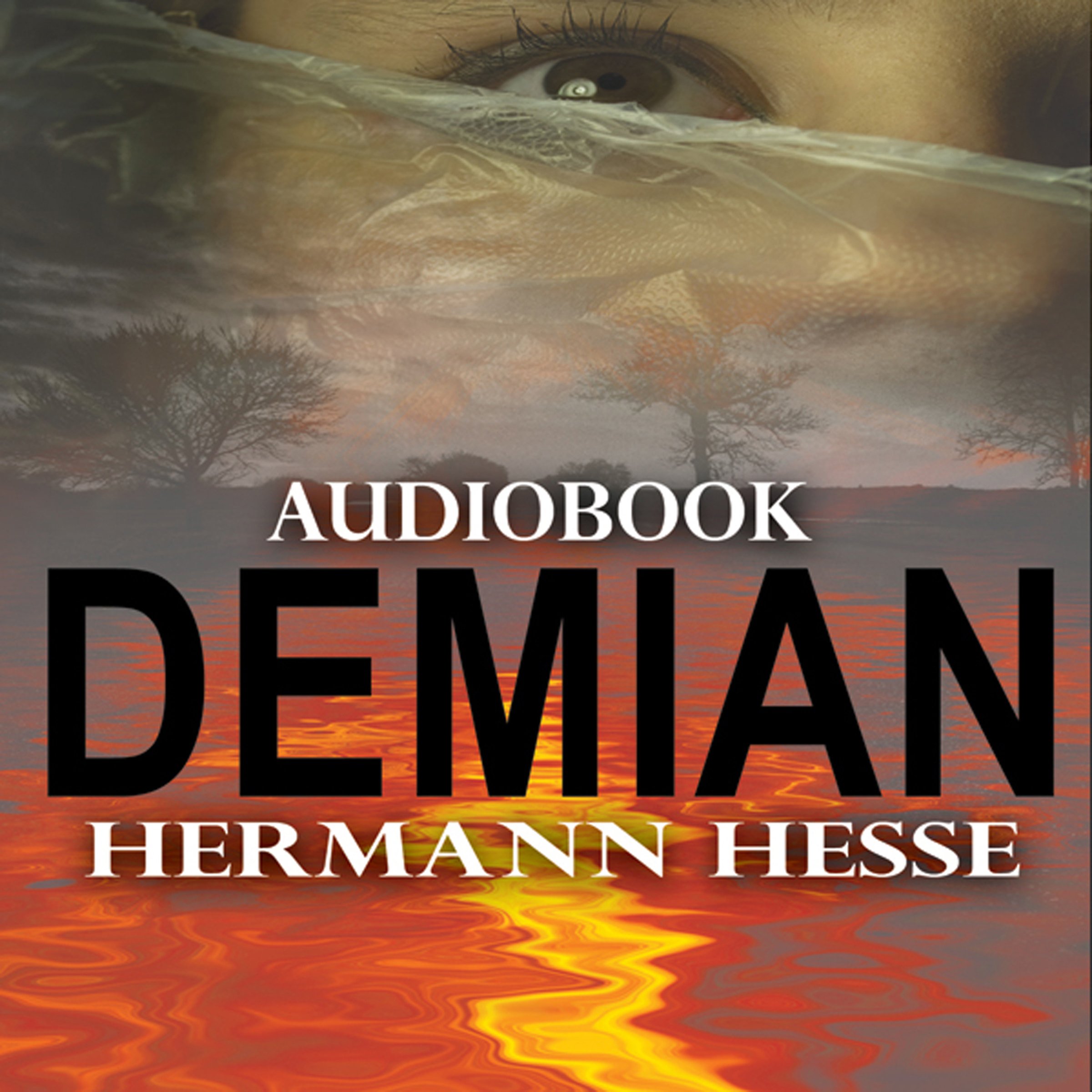 Cover art for Demian