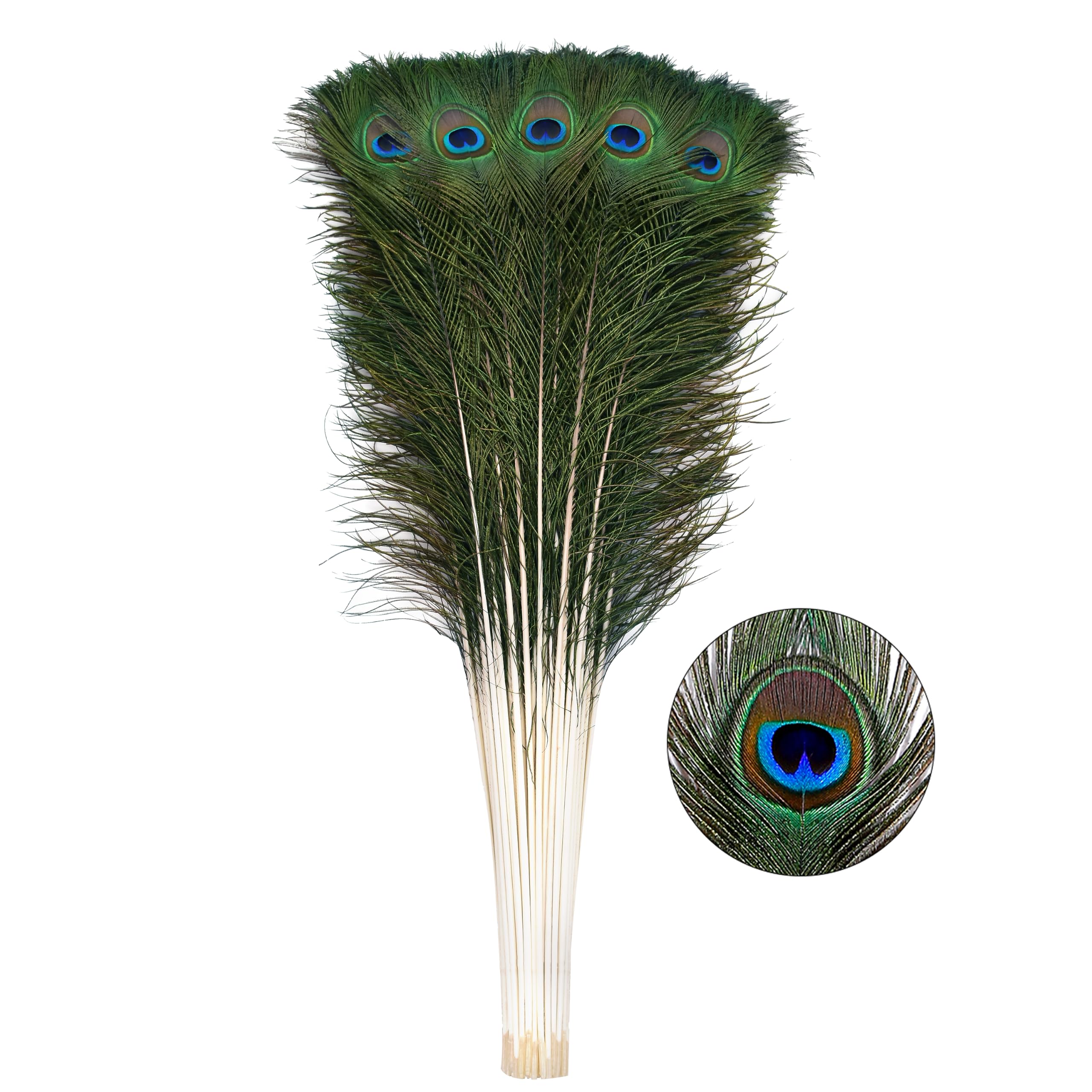 Ballinger 12pcs Natural Peacock Feathers Long Pole Bulk 32-35 inch for DIY Craft, Wedding Holiday Decorationn and Floral Arrangement