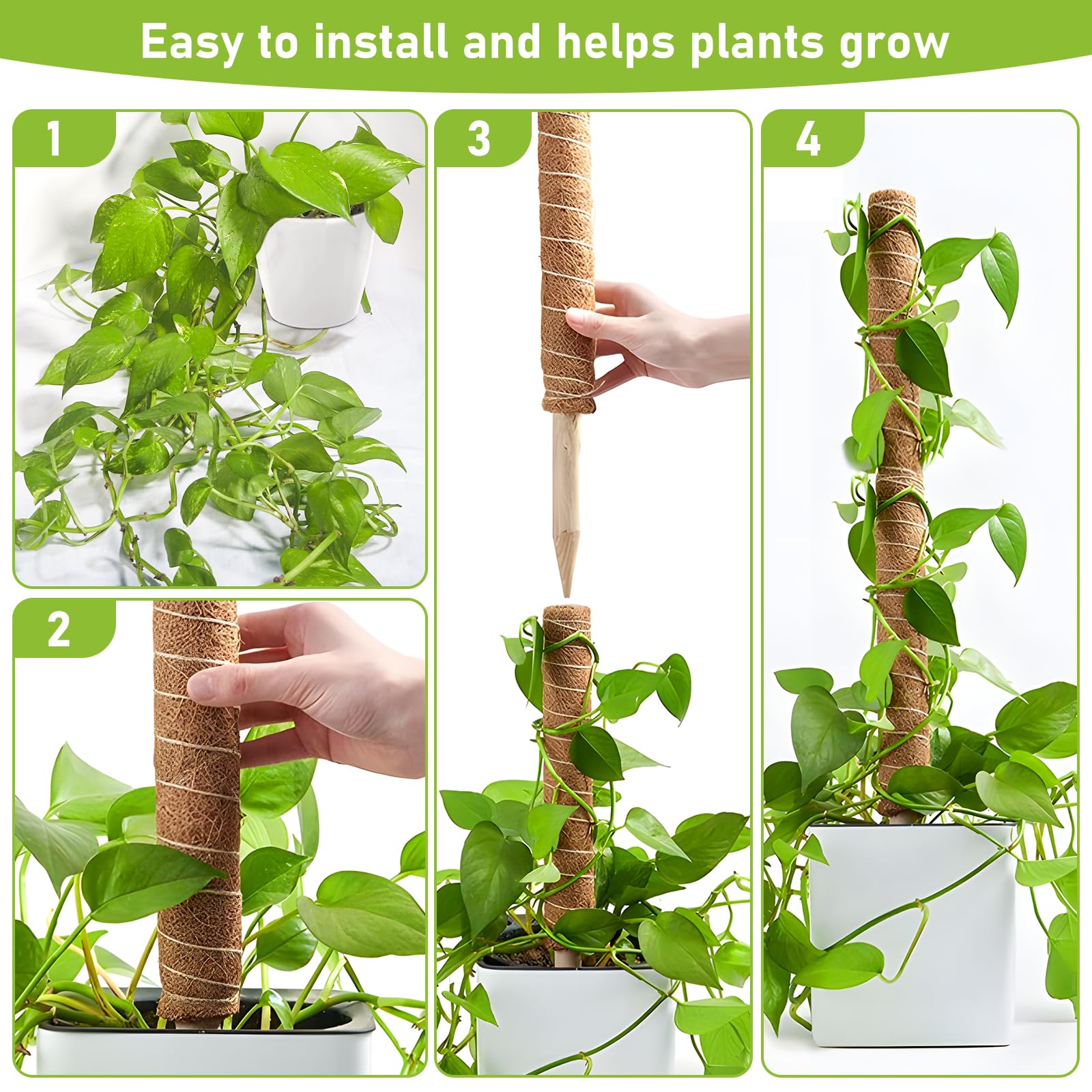 NVIYAM 4 Stck 40CM Moosstab Monstera, Pflanzstab Kokos Monstera, Monstera  kokosstab, Monstera Rankhilfe fr Pflanzen, Pflanzensttze, Rankhilfe  Pflanzstab, fr Kletterpflanzen Natrlicher Kokosstab : Amazon.de: Garten