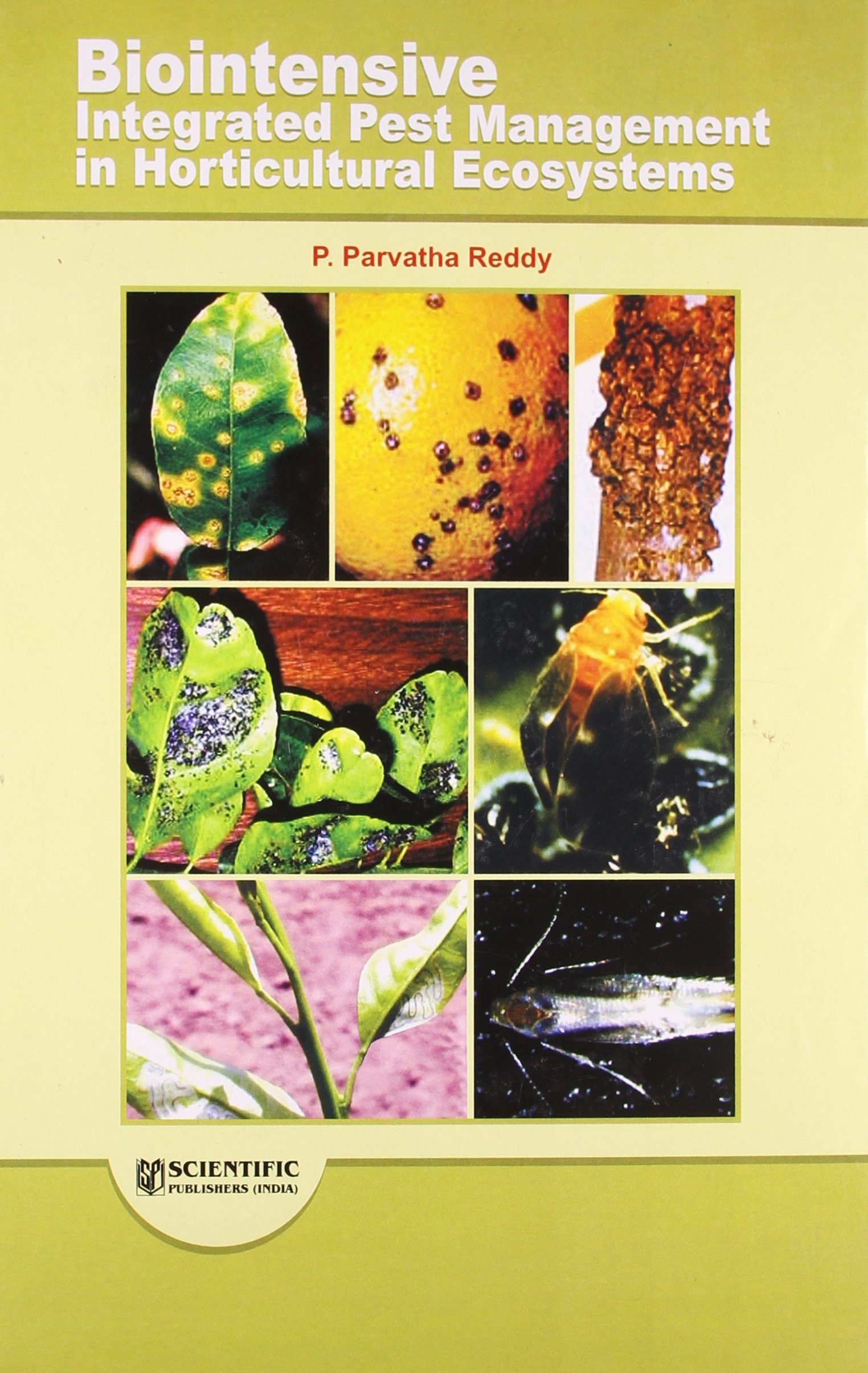 Buy Biointensive Integrated Pest Management in Horticultural Ecosystems โ BookShops.in