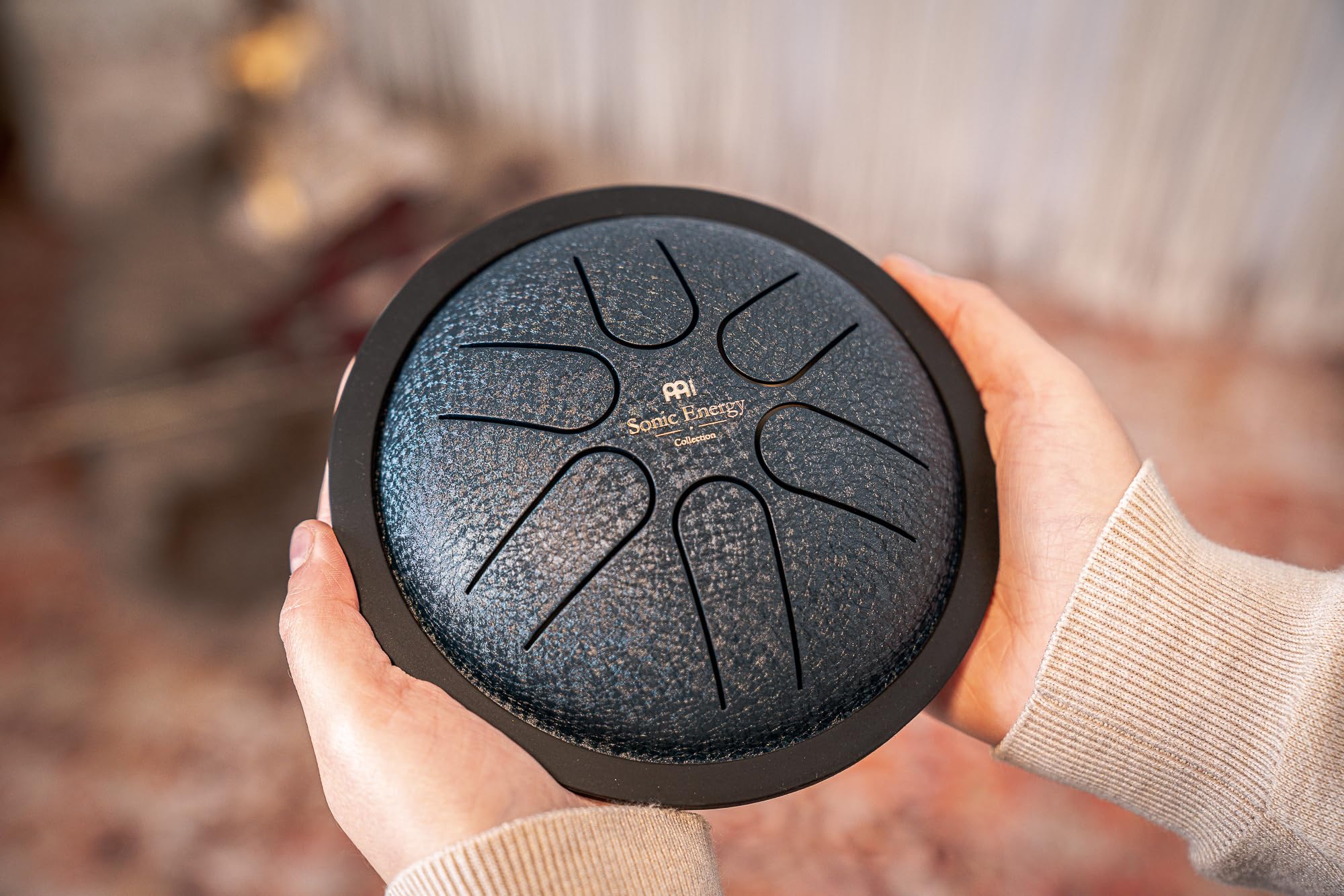 Amazon.com: Meinl Sonic Energy Mini Steel Tongue Drum 6 Notes 6