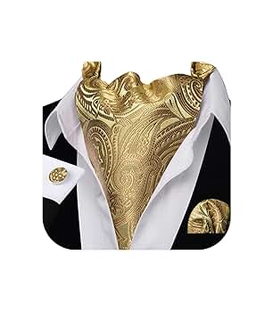 DiBanGu メンズ クラバットタイ 格子柄 ペイズリー アスコットスカーフ ネクタイ ポケットチーフ カフスボタン ウェディングパーティー US サイズ: One Size