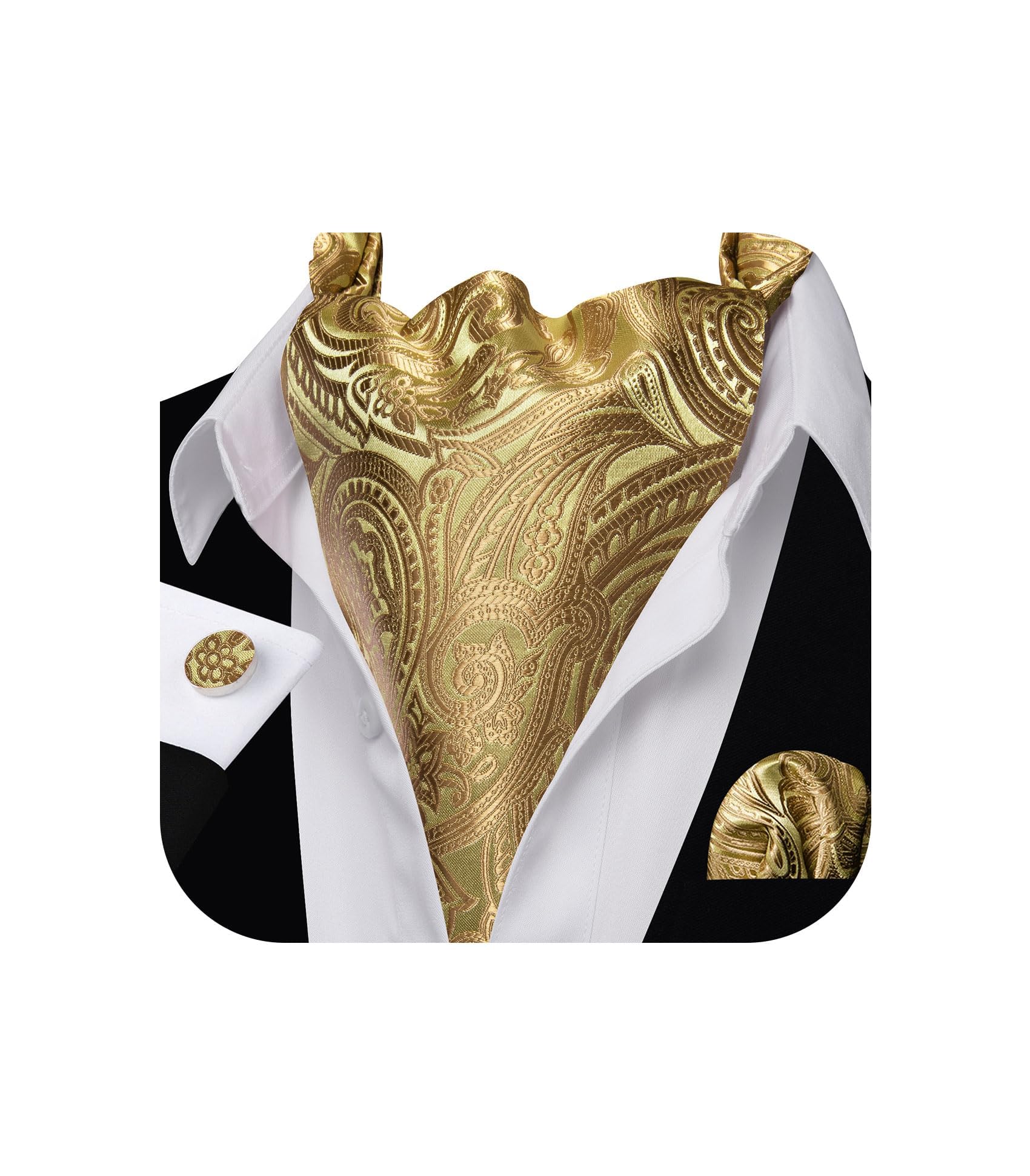 Barry.Wang Ascot for Men Cravat Tie Sets Paisley Scarf Self Tie Necktie