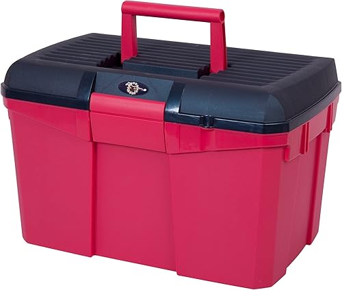 Miniatura 5 de Caja de tachuelas HySHINE, plateado/frambuesa