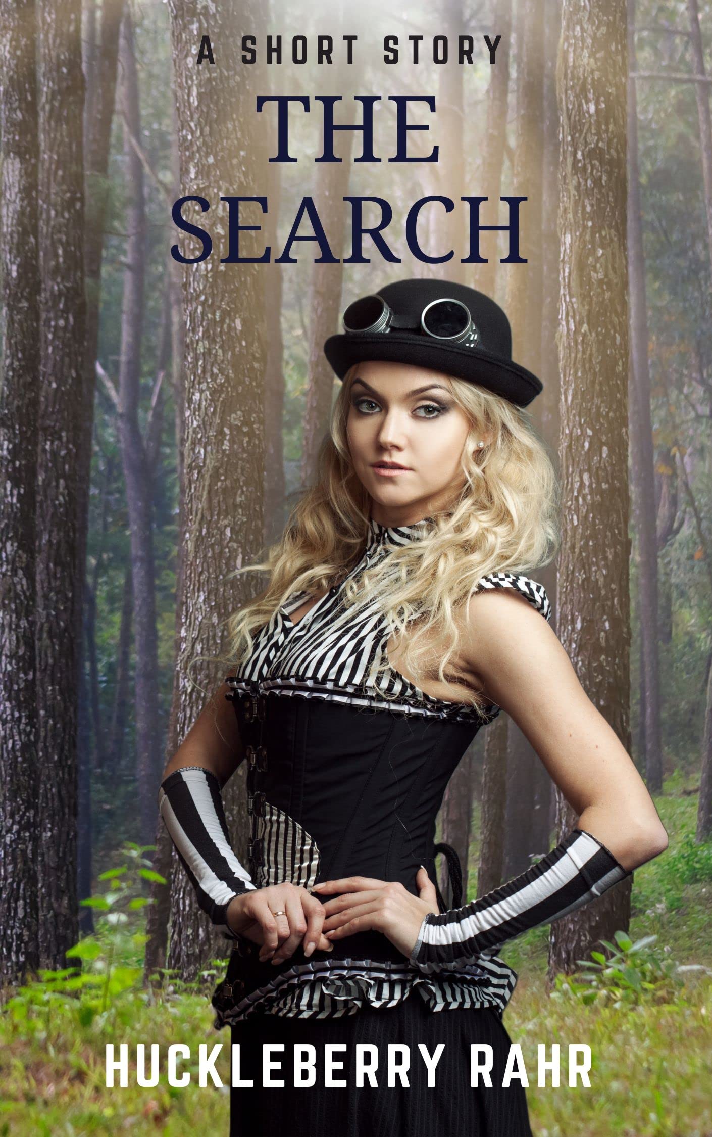 Cover of The Search