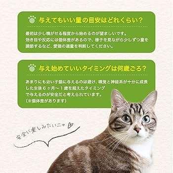 Amazon | 猫用 天然 100％ マタタビ 粉末 10g おもちゃ しつけ