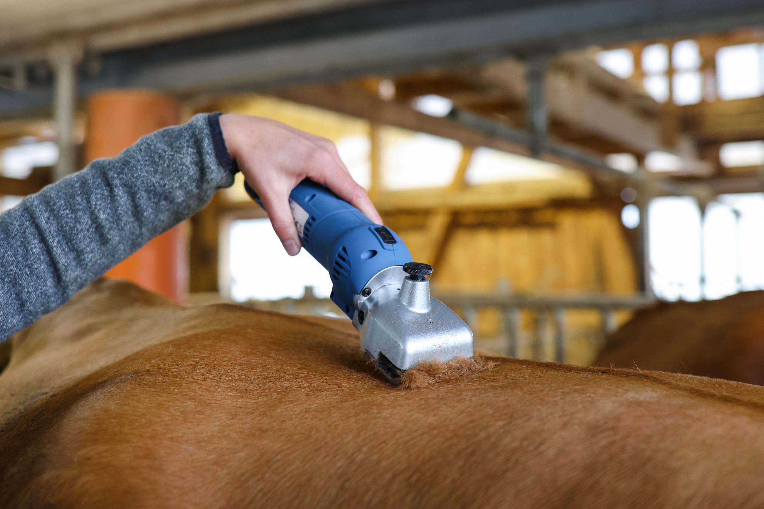 Clipster Esquiladora inalámbrica FarmClipper Akku2, para animales, incluye 2 baterías, azul, 28,5 x 8 x 8 cm, para esquilar ganado, veterinarios, 120 minutos de duración de la batería