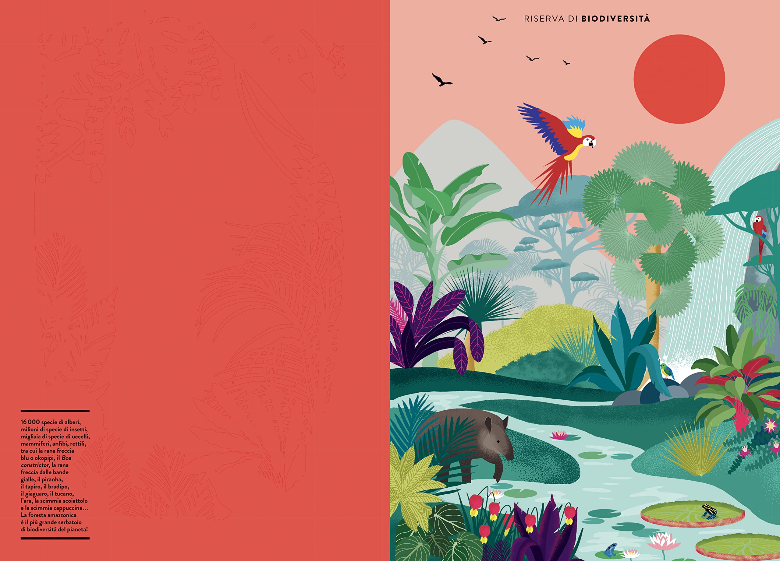Mondo vegetale. Un libro animato per esplorare le meraviglie della natura. Ediz. a colori