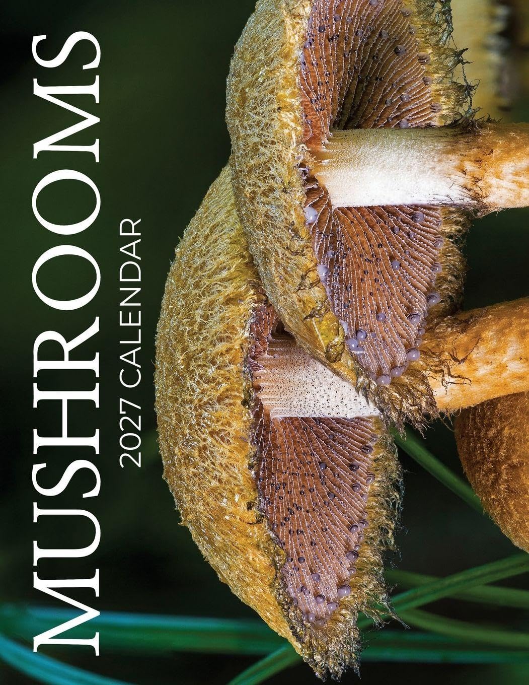 Mushrooms 2027 Calendar