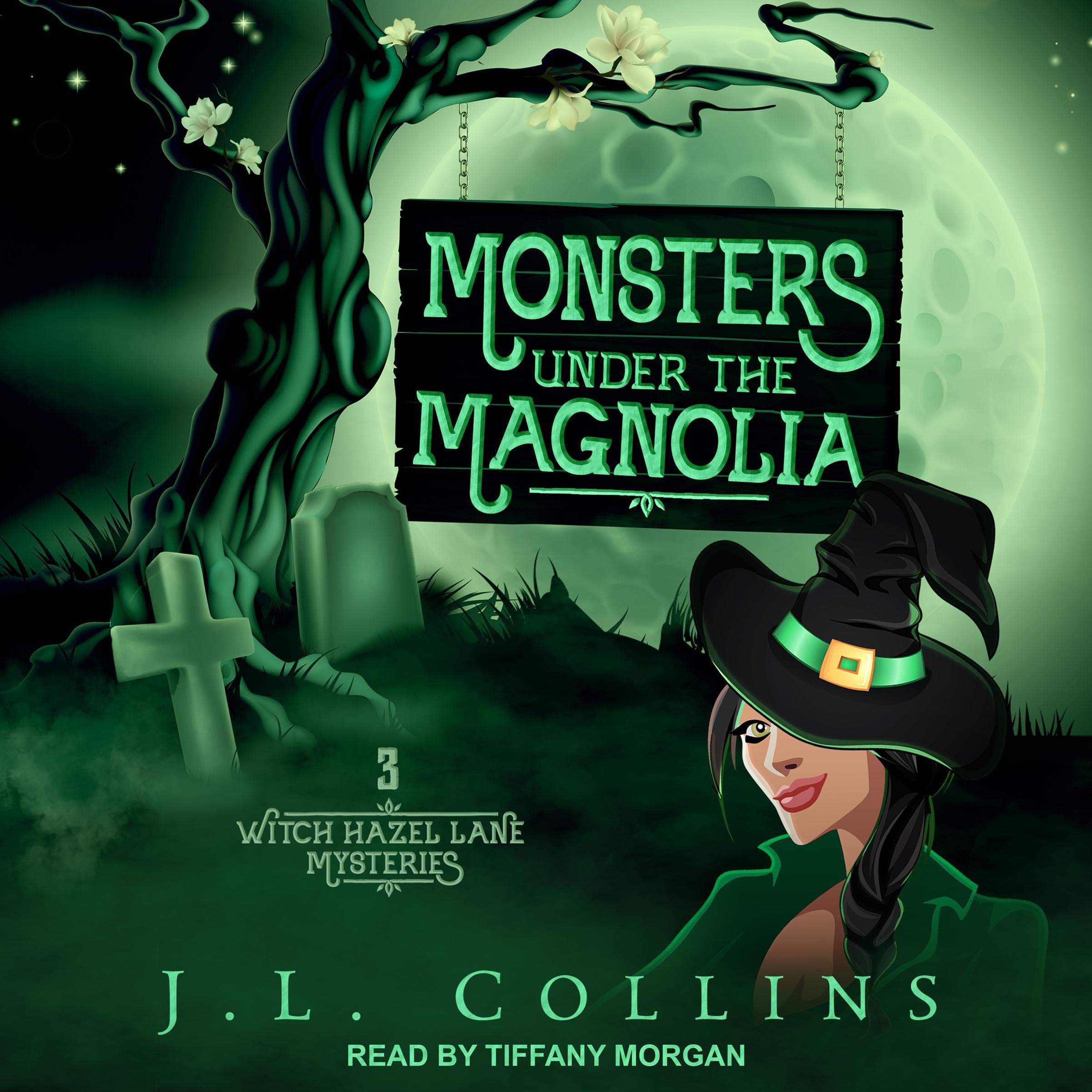 Cover art for Monsters Under the Magnolia