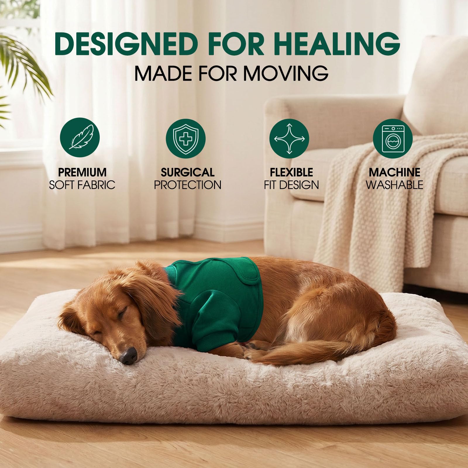 CITÉTOILE Manchon de Récupération Chirurgicale Chien, Protection Contre Les blessures à la Jambe Avant pour Chien de Taille Moyenne et Grande, Vert, S