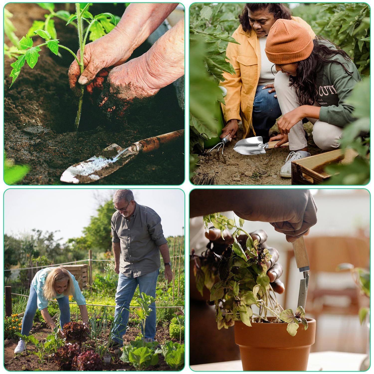 LeMotech Juego de herramientas de jardín, 3 piezas de acero inoxidable, kit de jardinería resistente que incluye paleta transplantadora, cultivador, herramientas manuales de jardinería con mango de