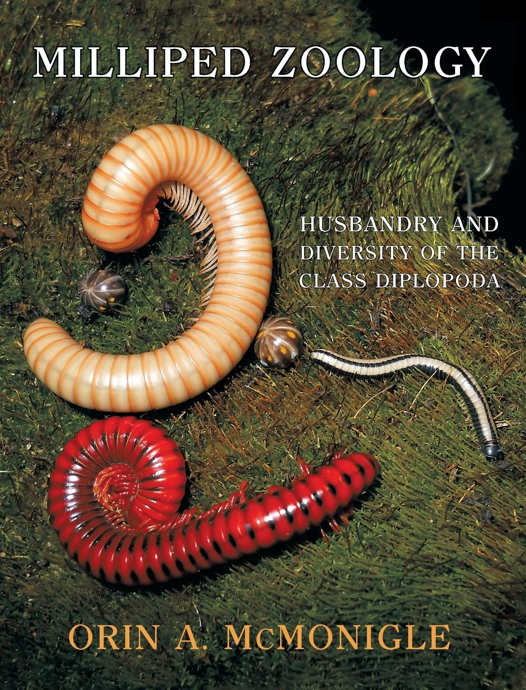 Milliped Zoology: Husbandry and Diversity of the Class Diplopoda