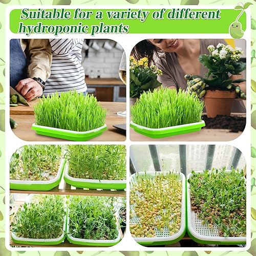 Miniatura 7 de Thrilez Kit de bandeja de germinación de semillas, paquete de 16 bandejas de cultivo de microverdes con papel de cultivo germinante y botella de