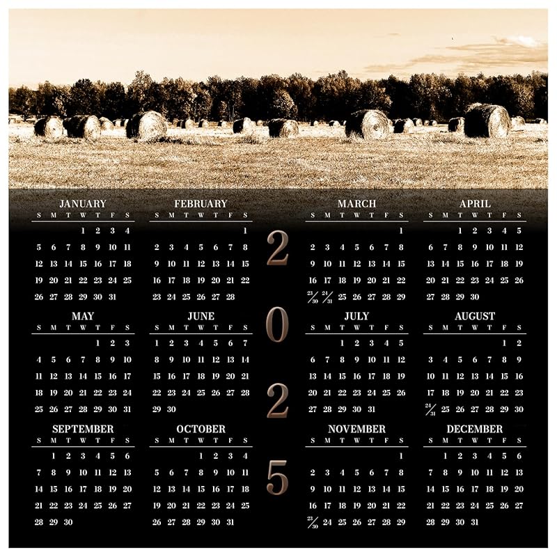 Bale Out • 2025 Year at a Glance Wall Calendar • Yearly