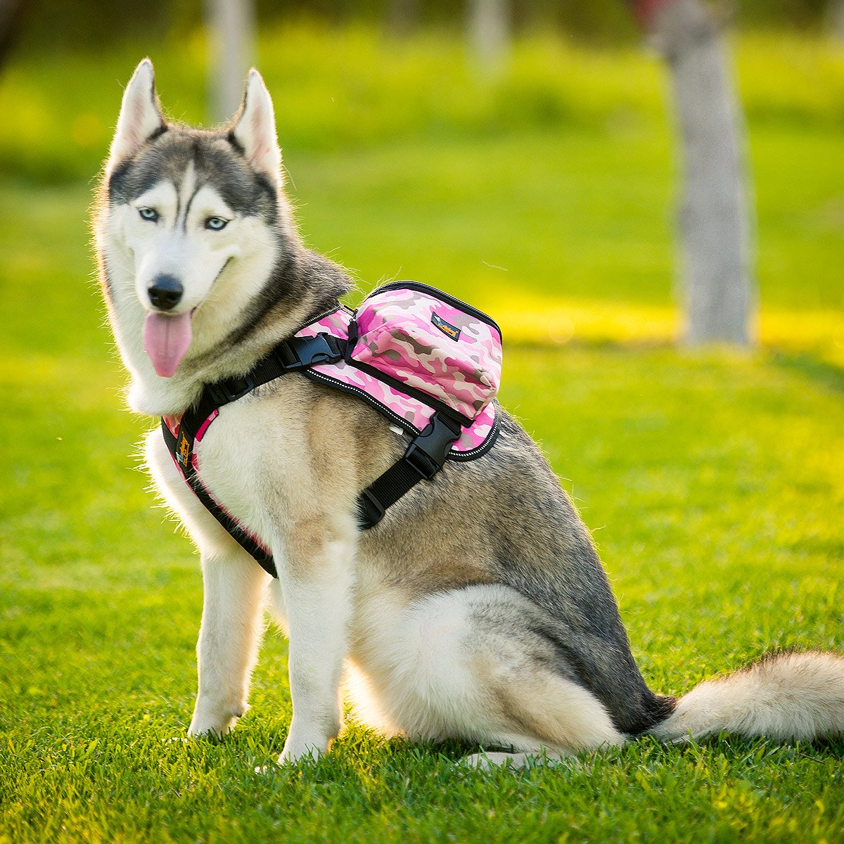 Amazon | Ondoing 中大型犬用 バックパック ドッグリュック ハーネス