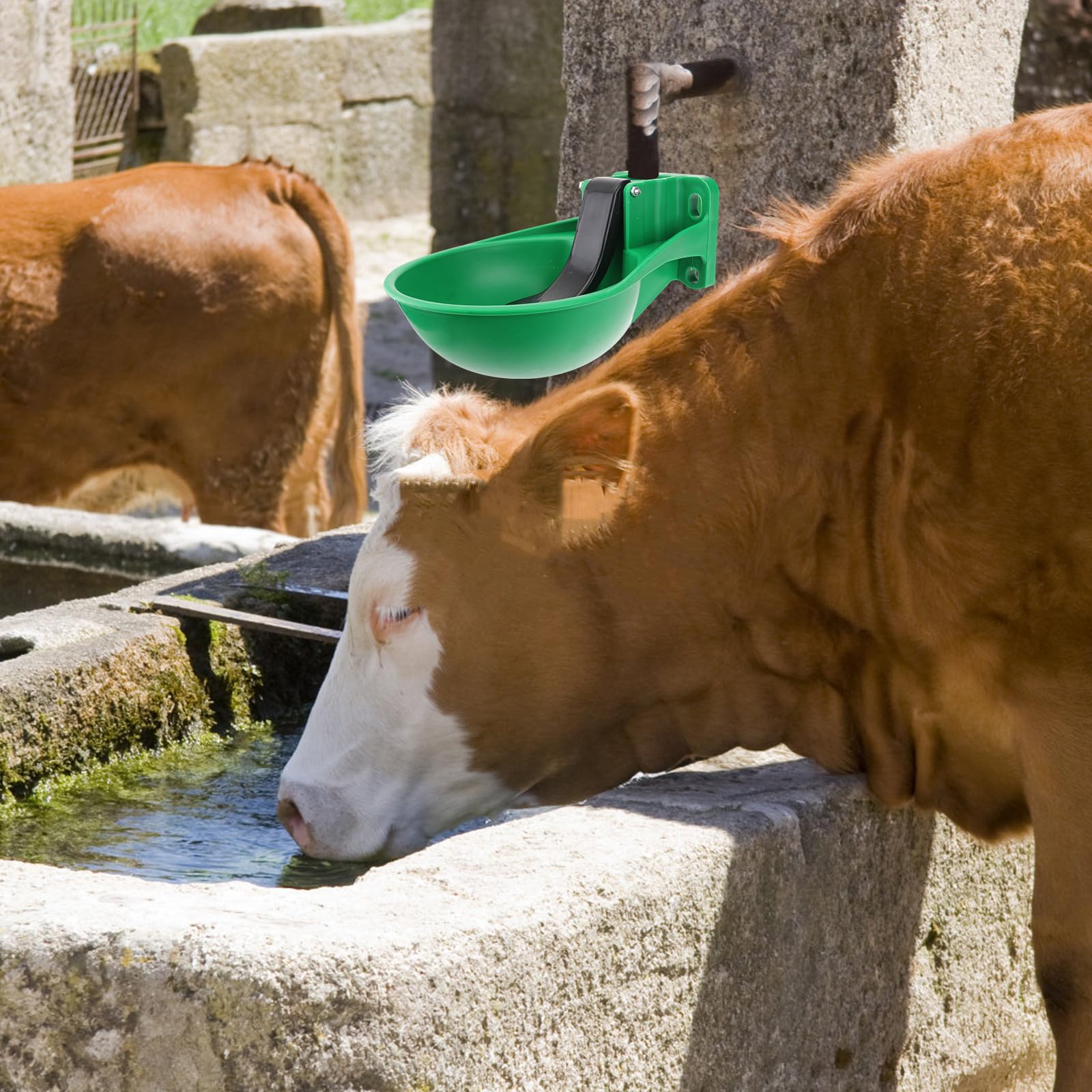 TOYANDONA Ciotola Automatica per L’acqua delle Mucche e Bestiame, Abbeveratoio Resistente in Plastica Valvola Touch, Design Anti-schizzi per Allevamento di Bovini, Cavalli e Suini,