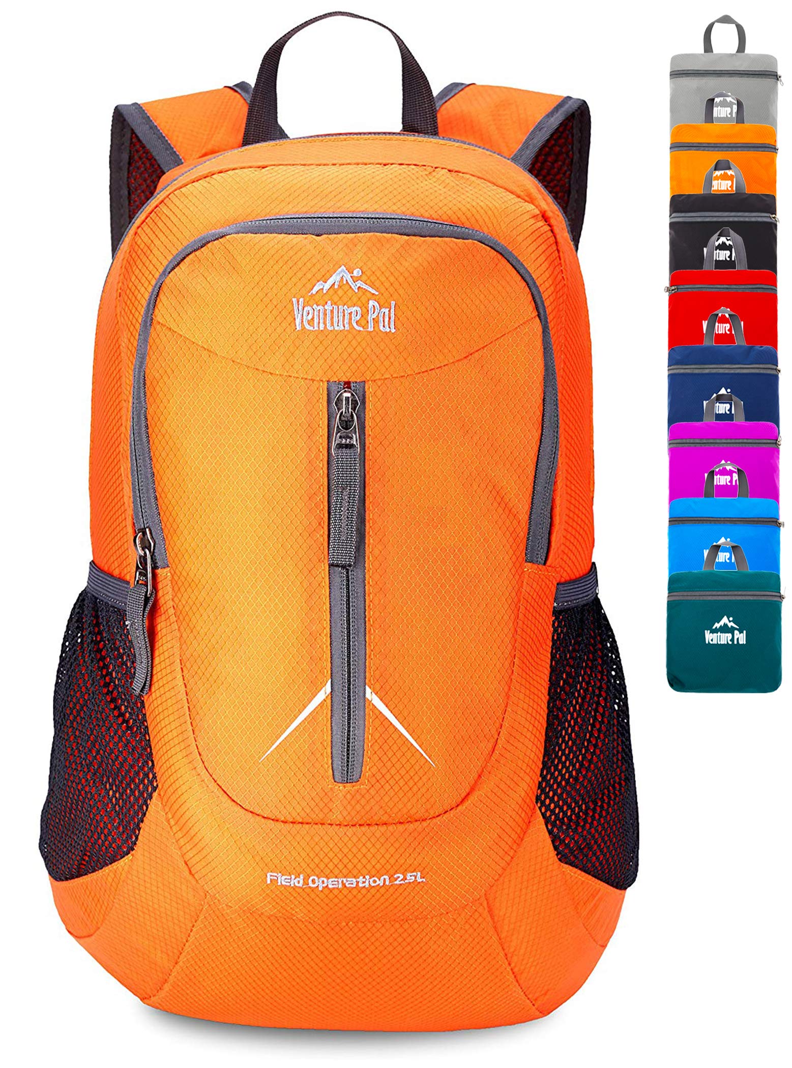 venture pal packable lightweight backpack
