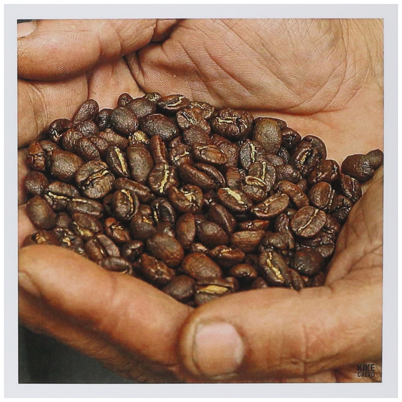 3dRose Hands holding roasted coffee grains - Greeting Cards, 6 x 6 inches, set of 6 (gc_10398_1)