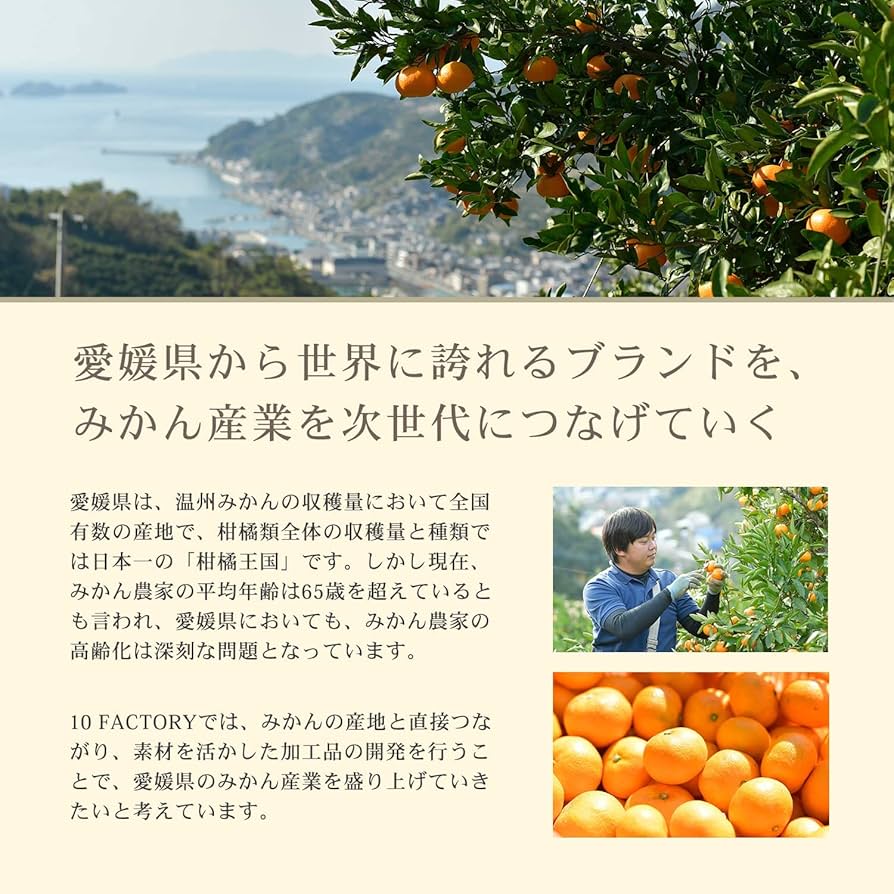 Amazon.co.jp: 10FACTORY ギフト 愛媛みかんゼリー 食べ比べ 14