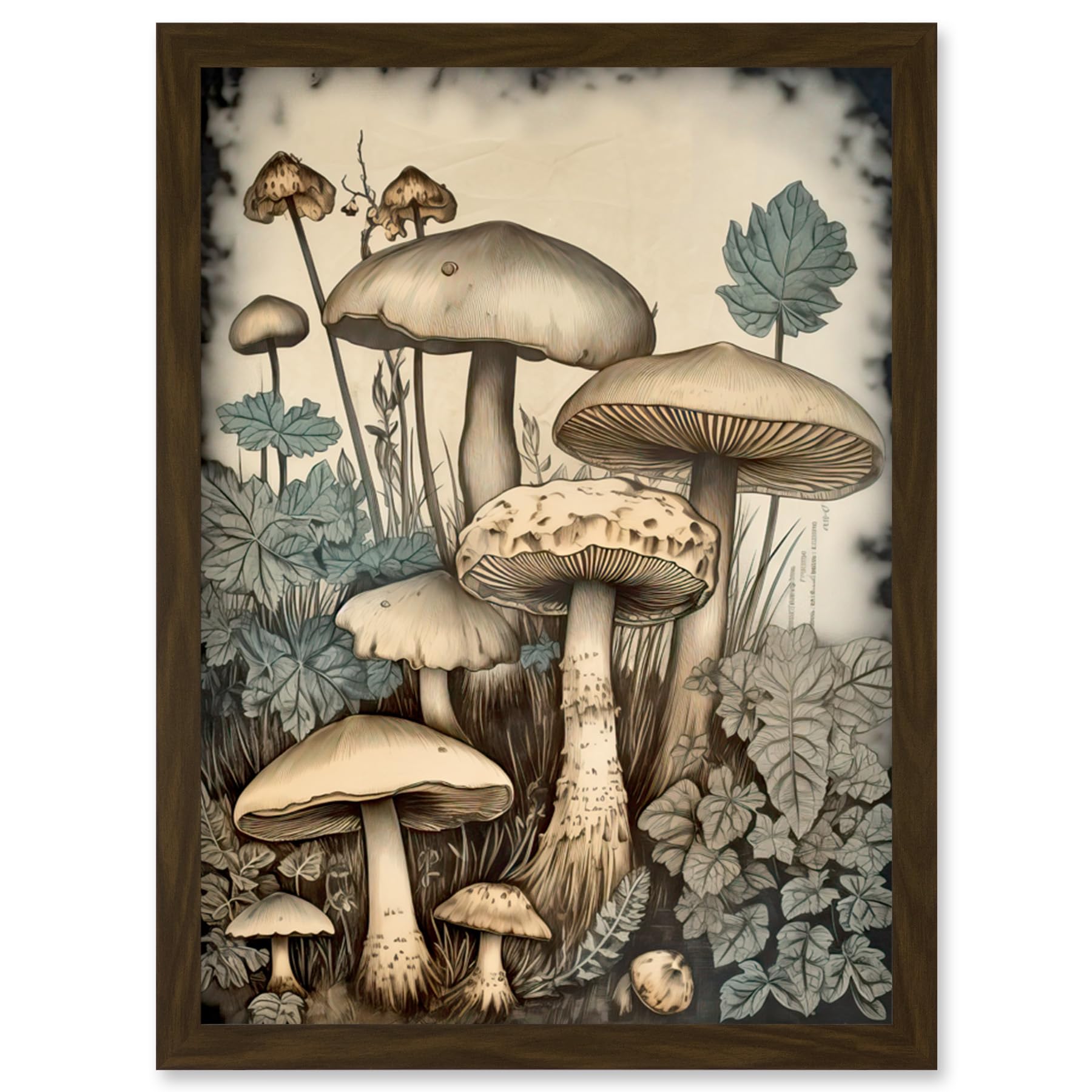 Artery8 Mushroom Fungi Watercolour Vintage Cottagecore Aesthetic Rustic Decor Artwork Framed Wall Art Print A4