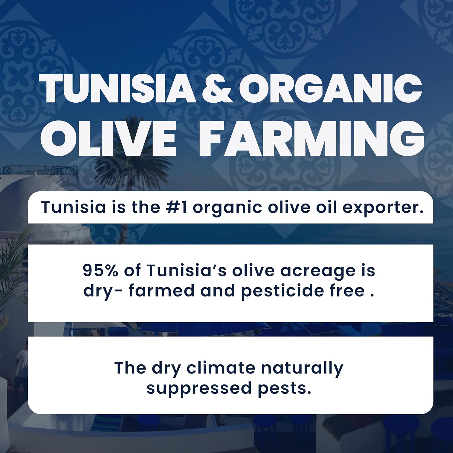 FIRMA Organic Extra Virgin Olive Oil, Single Variety, Single Origin Tunisian EVOO, USDA Certified, First cold press hand picked rich in flavor everyday cooking oil, 16.9 fl oz